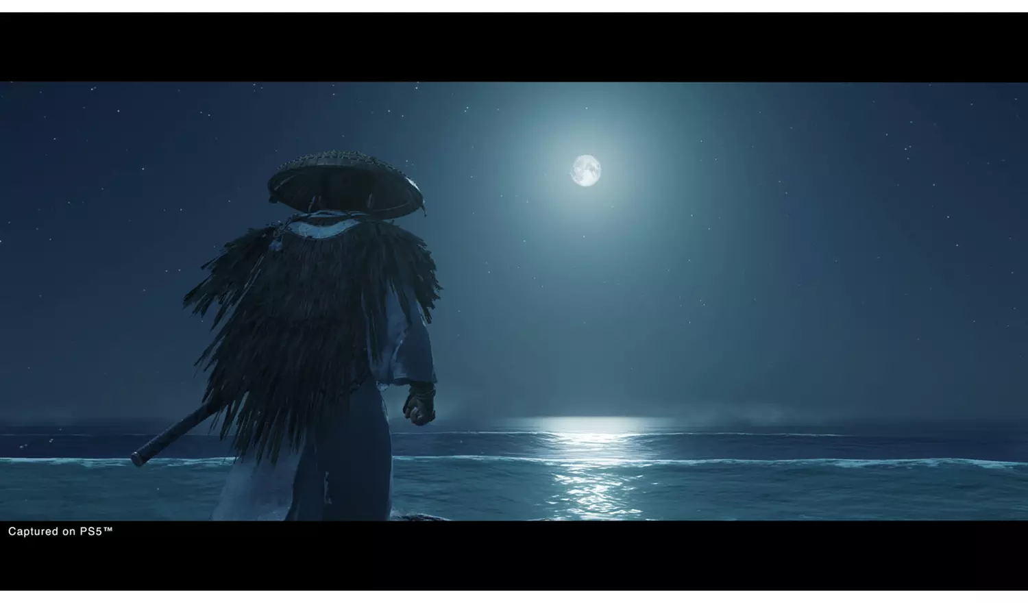 Ghost Of Tsushima: Director's Cut PS5 Game