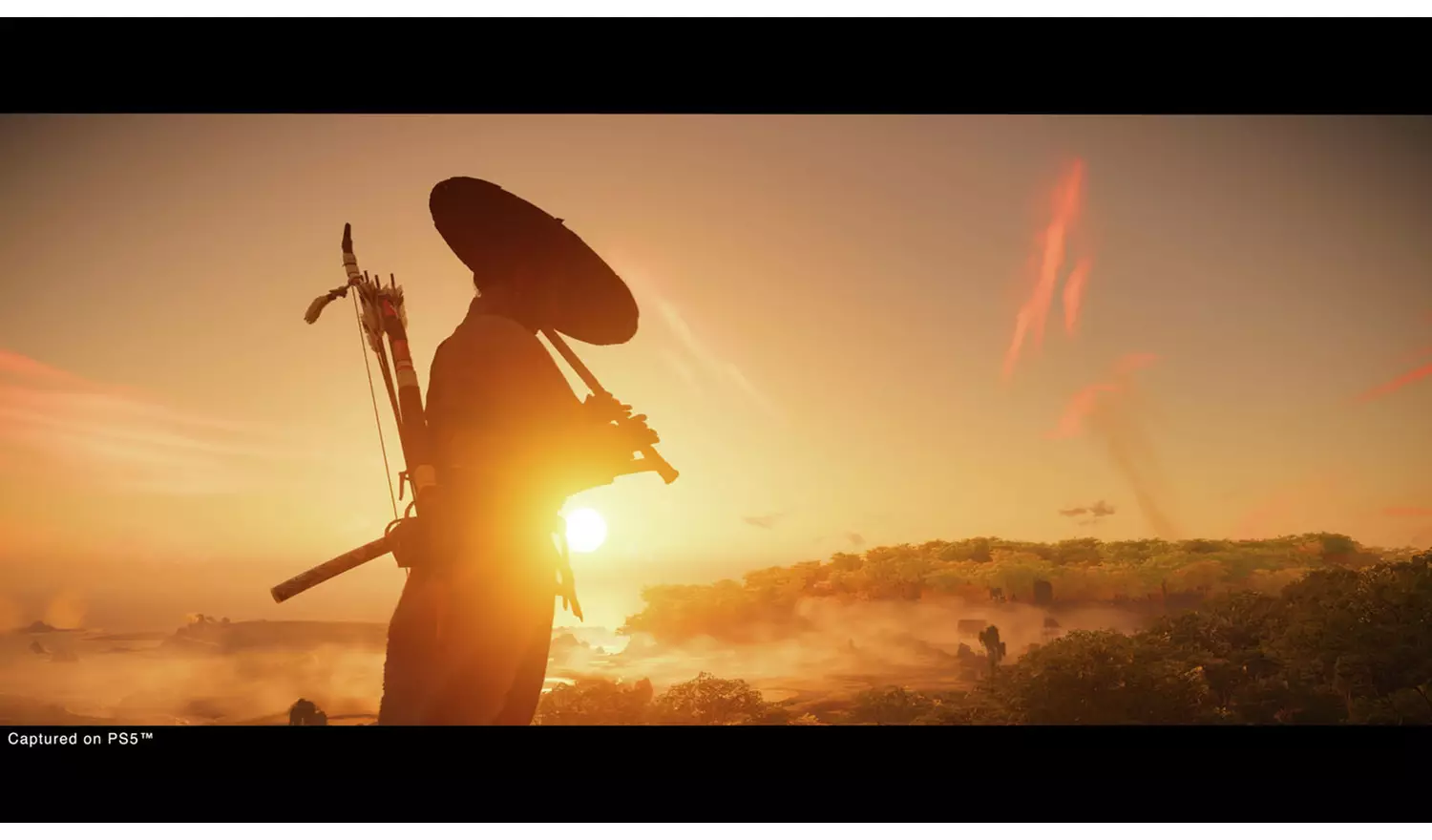 Ghost Of Tsushima: Director's Cut PS5 Game