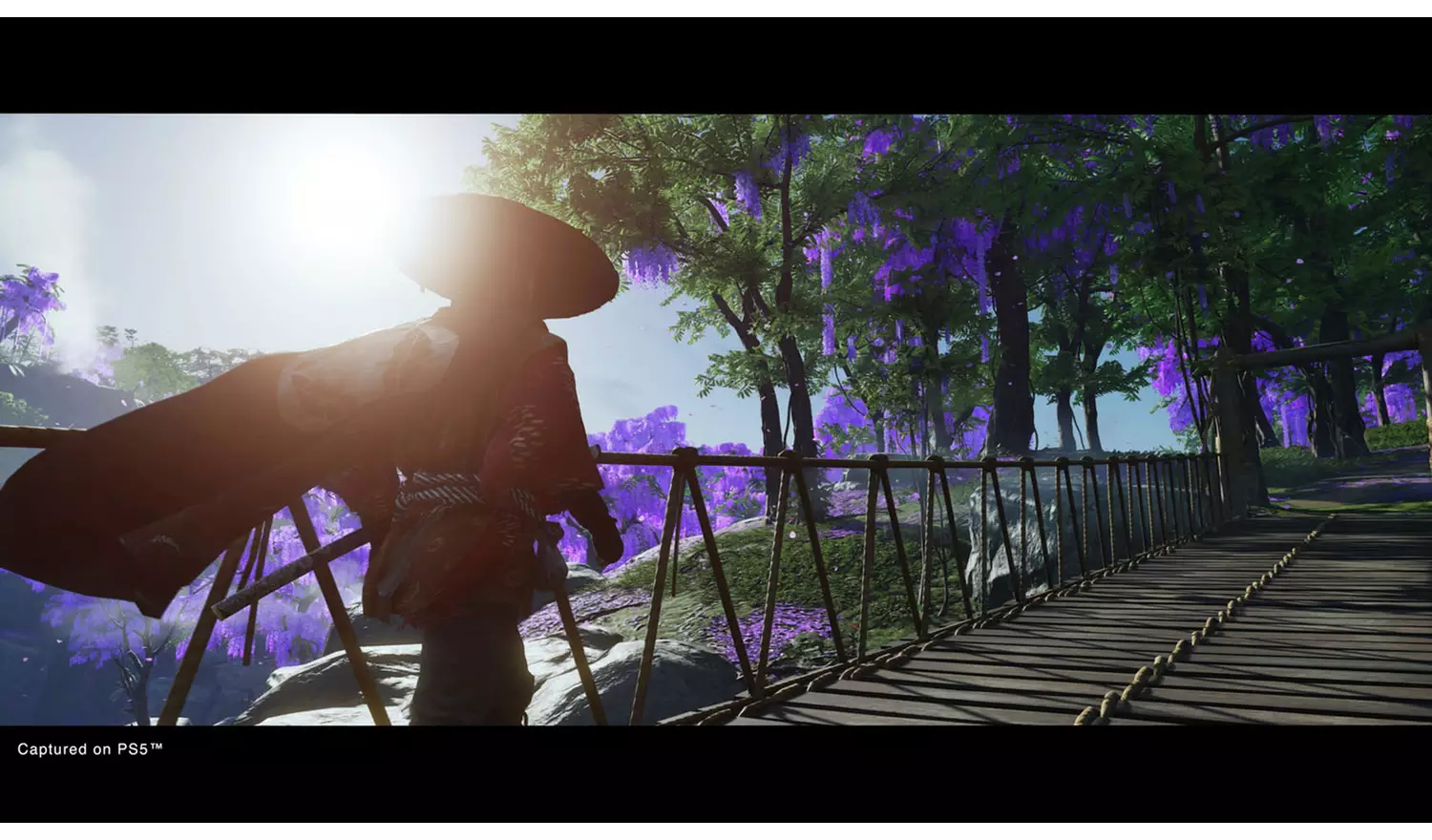 Ghost Of Tsushima: Director's Cut PS5 Game