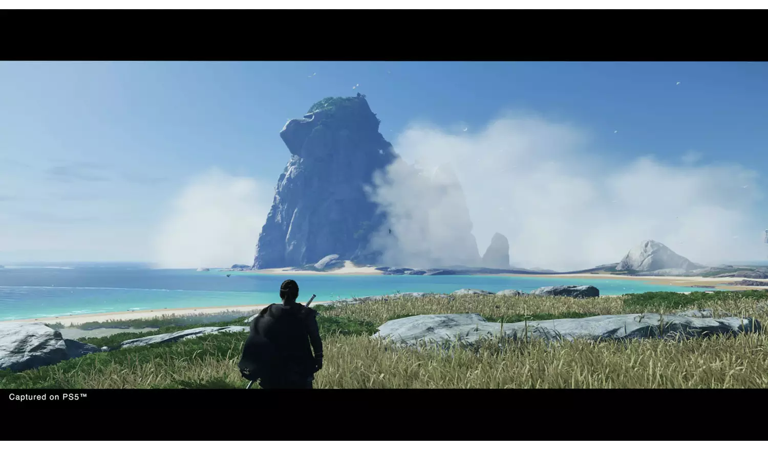 Ghost Of Tsushima: Director's Cut PS5 Game