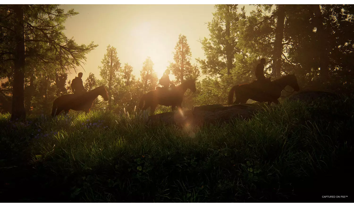 The Last Of Us Part I PS5 Game