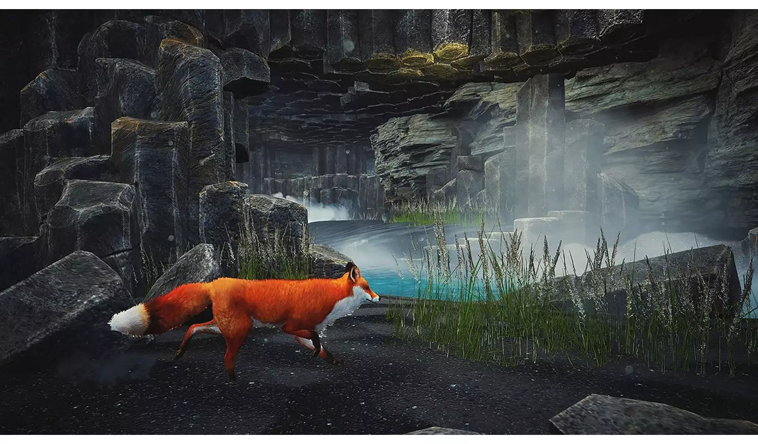 Spirit Of The North: Enhanced Edition PS5 Game