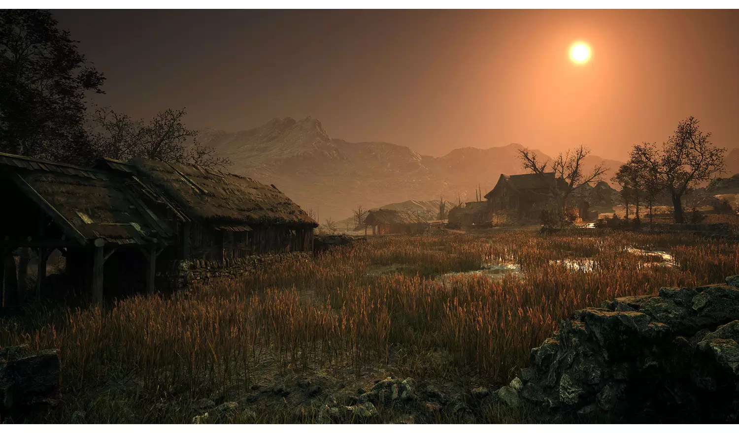 Dragonkin: The Banished Xbox Series X Game Pre-Order