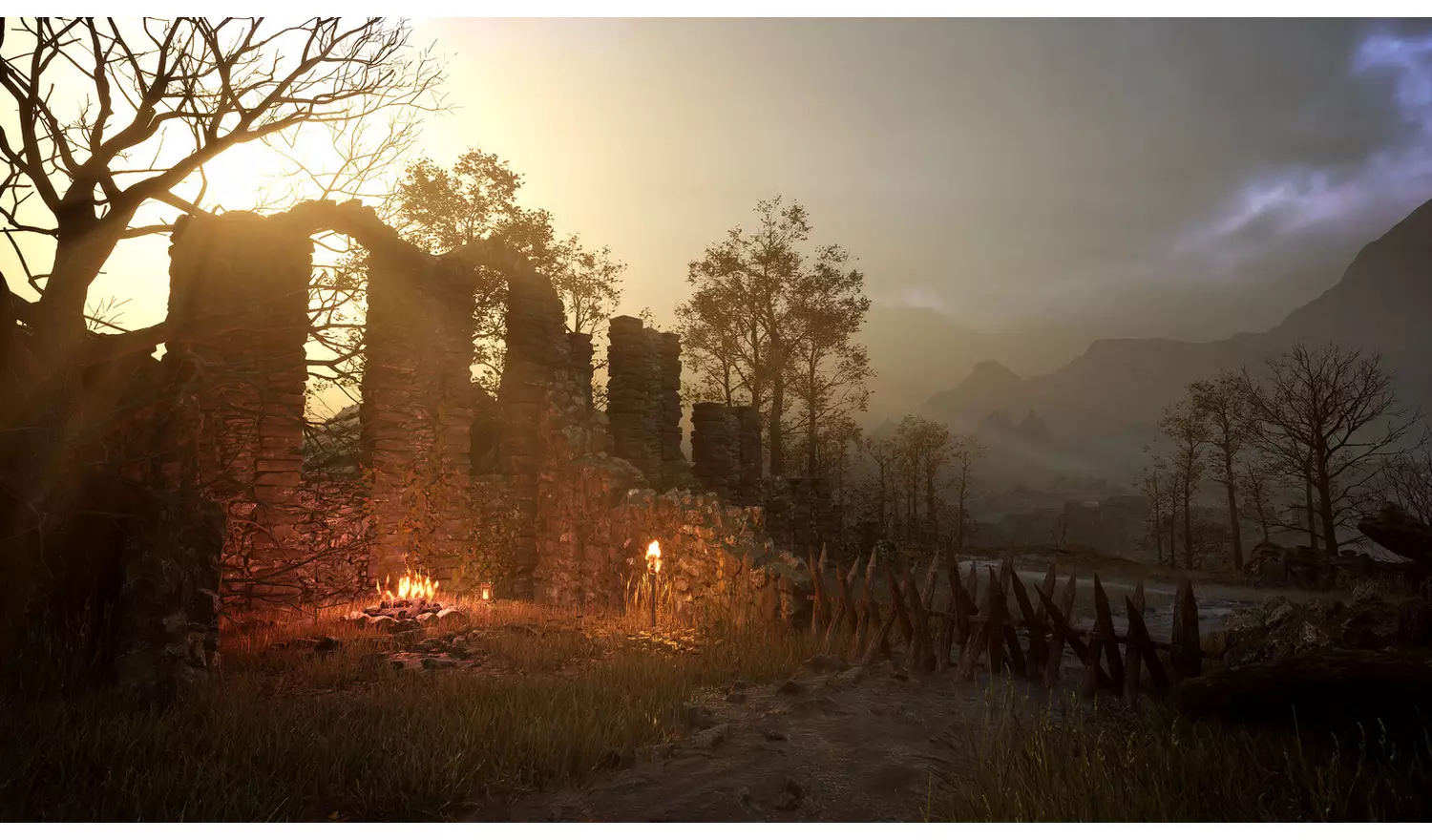 Dragonkin: The Banished Xbox Series X Game Pre-Order