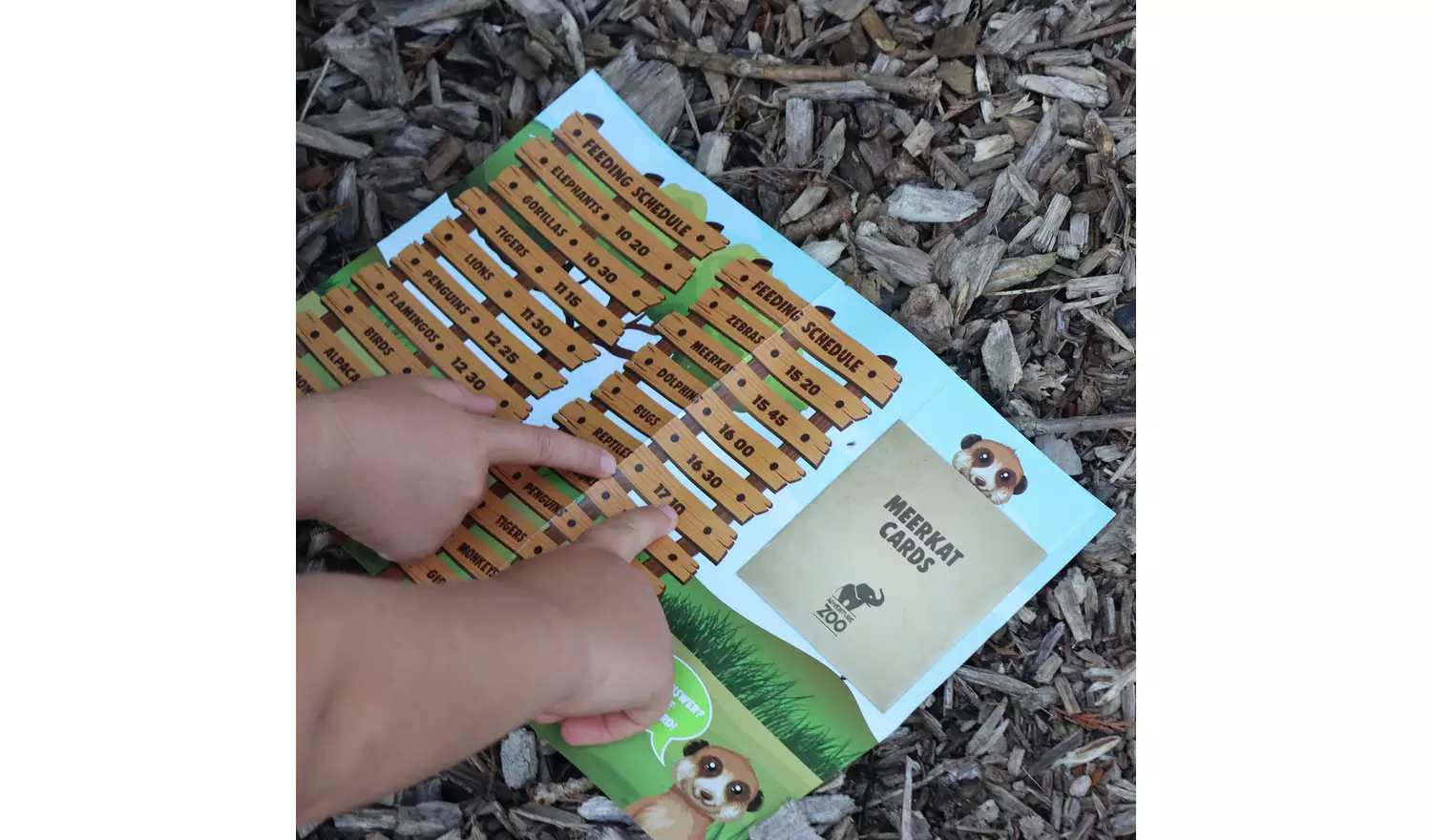 Trapped Escape Room Game Packs The Zoo