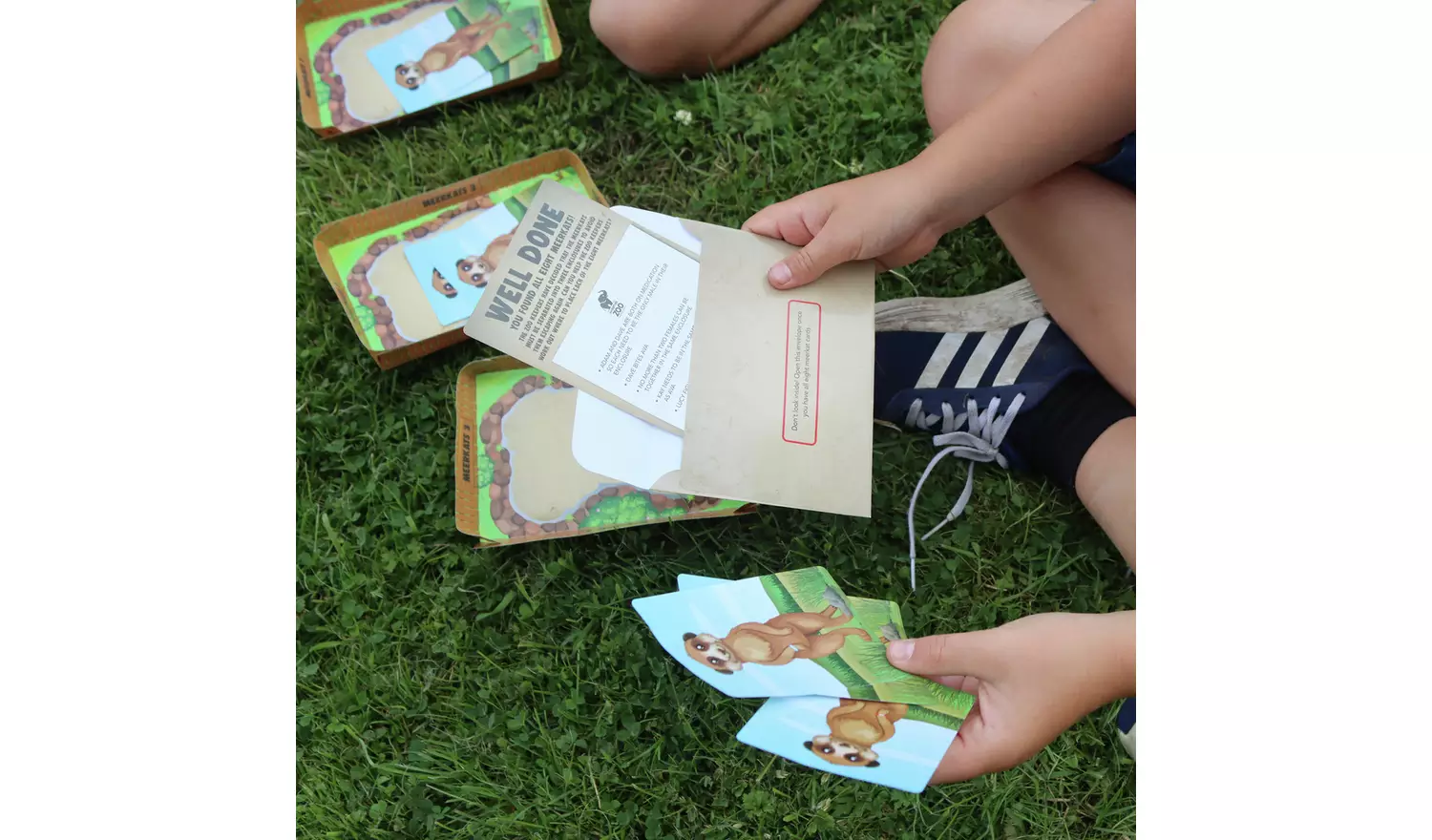 Trapped Escape Room Game Packs The Zoo