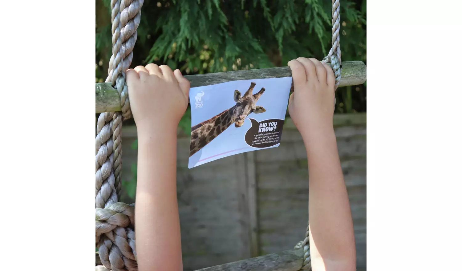 Trapped Escape Room Game Packs The Zoo