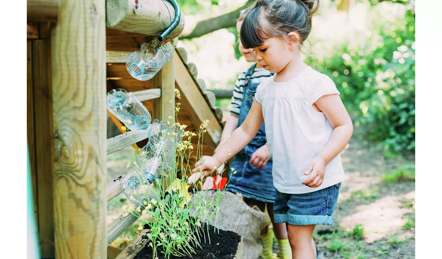 Plum Discovery Woodland children Treehouse