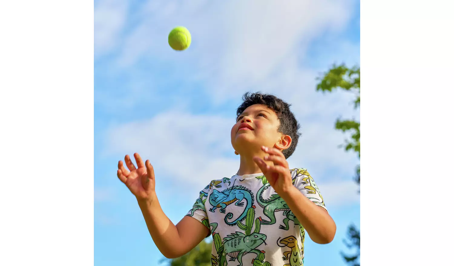 TP Wooden Rounders Set