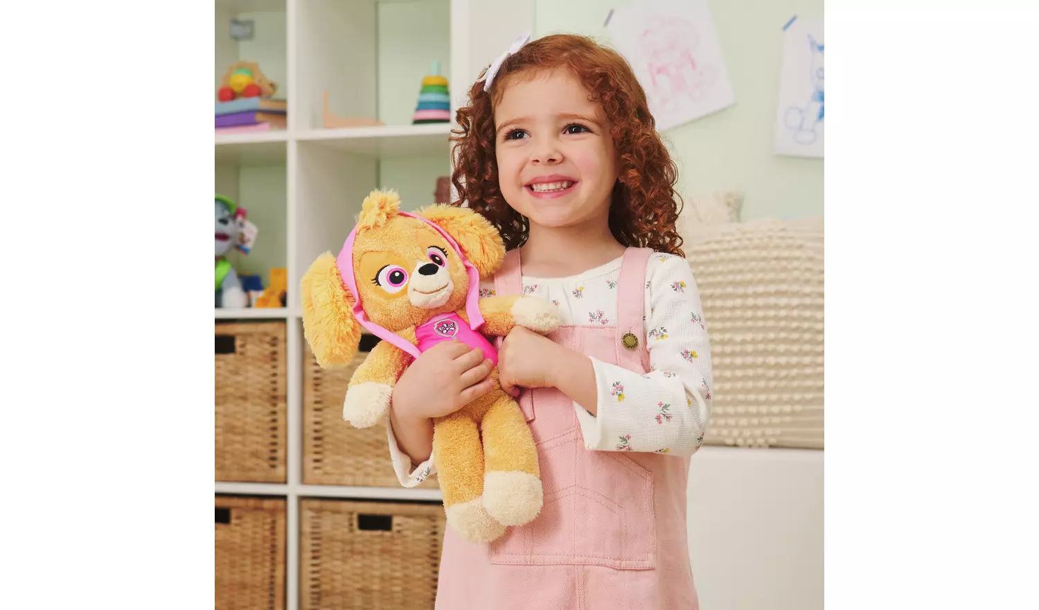 PAW Patrol 13- In Take Along Skye