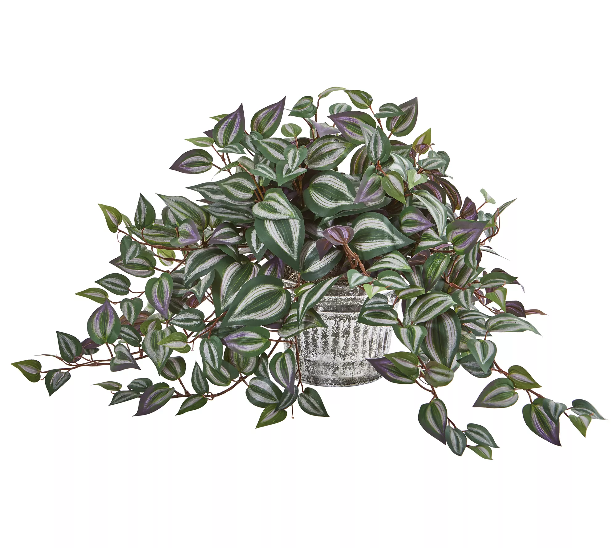 15in.Wandering Jew Plant in Vintage Metal Hanging Planter