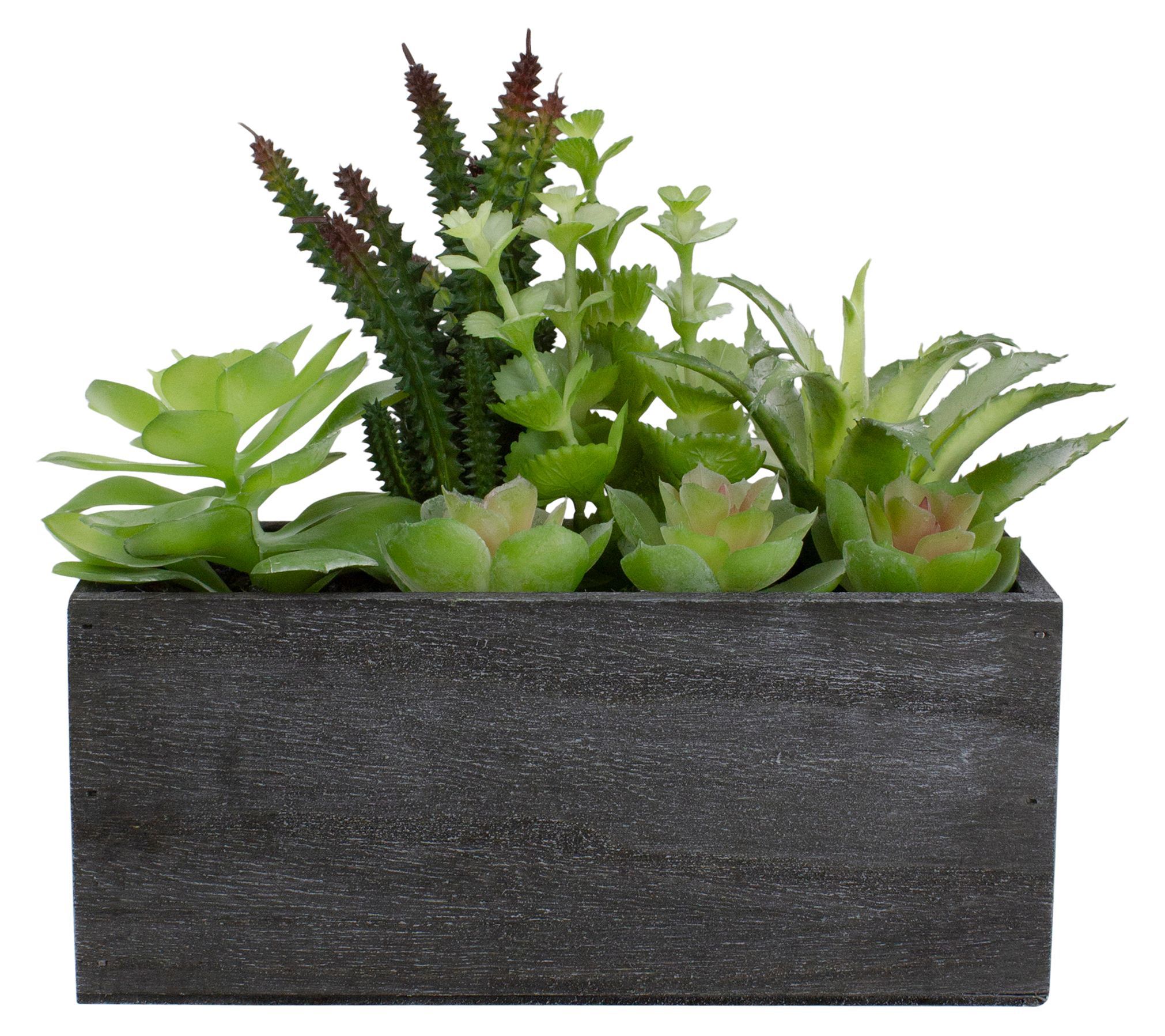 10" Artificial Mixed Succulent Plants in a Rectangular Planter