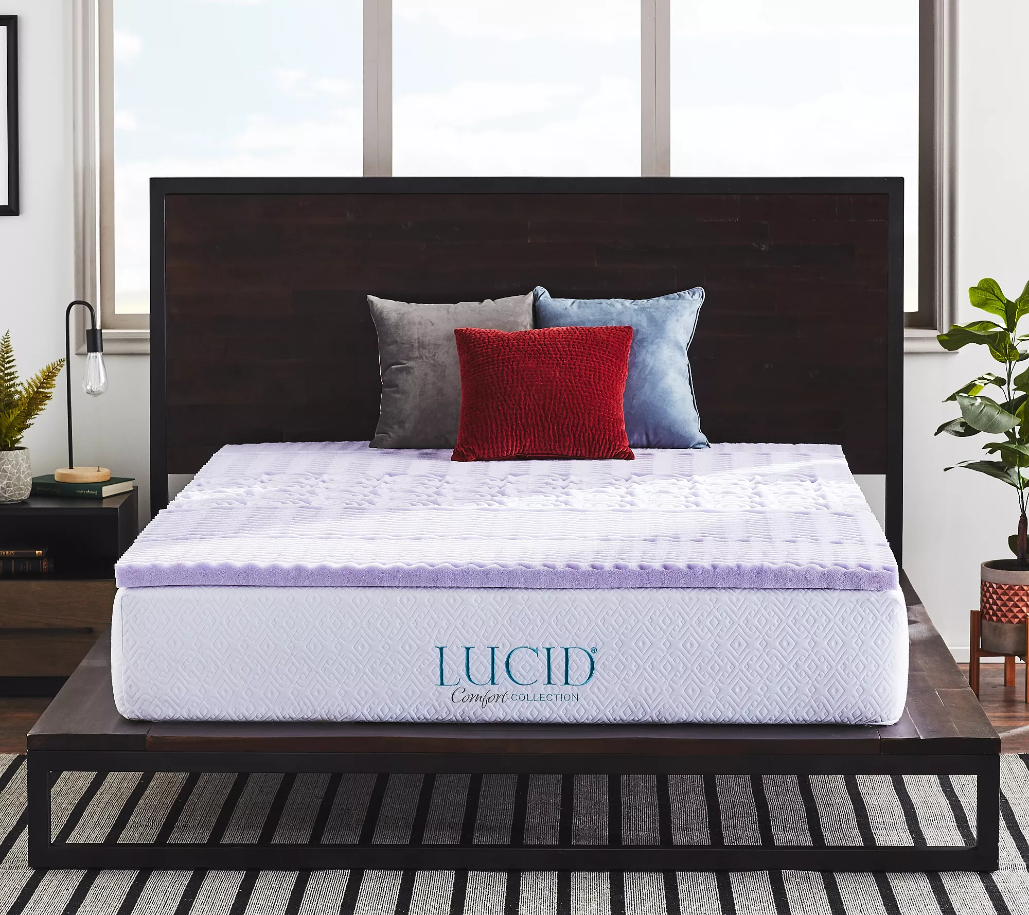 Lucid Comfort Collection 2" Zoned Lavender Topper - Twin