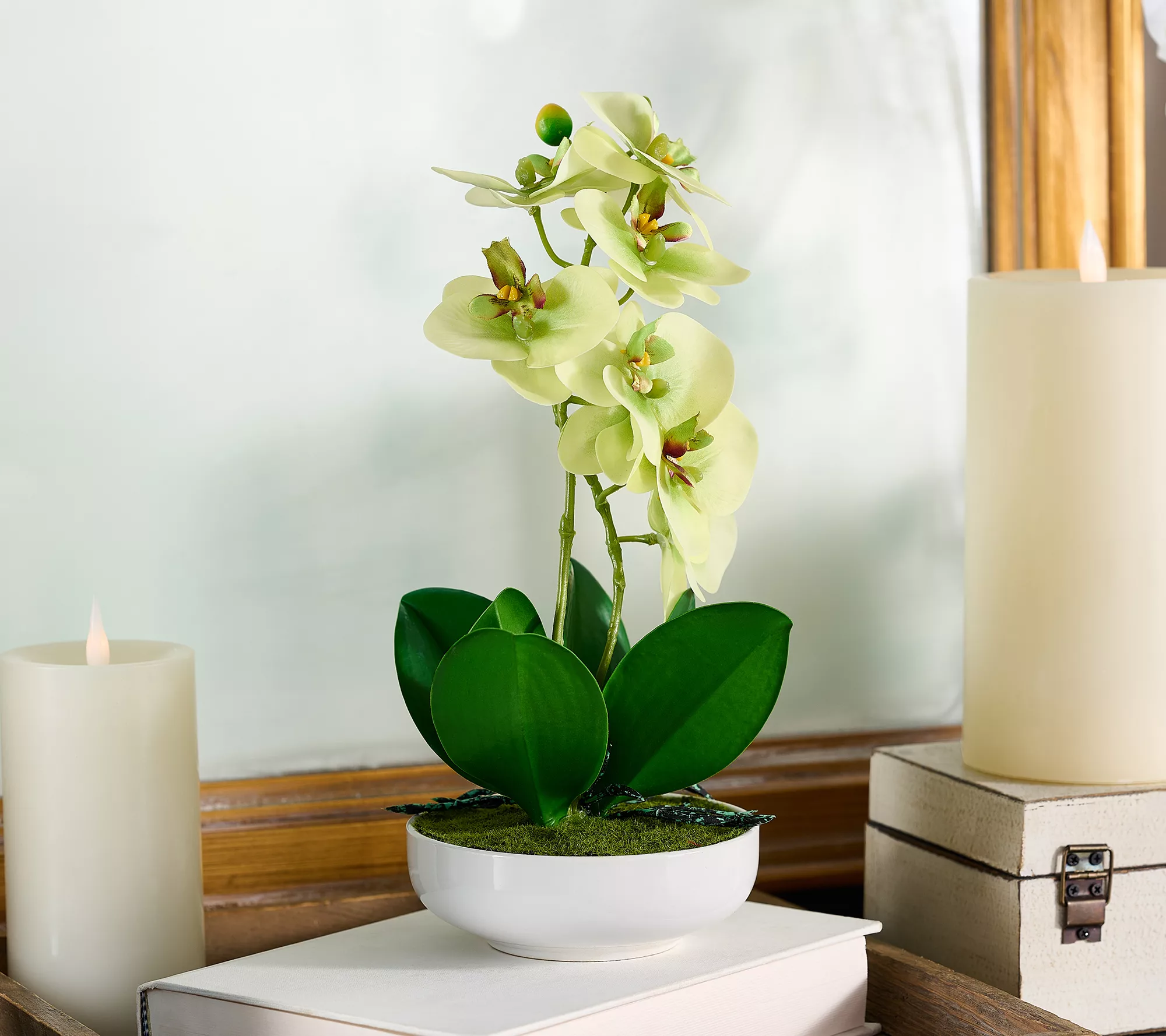 12" Orchid in White Ceramic Pot by Valerie