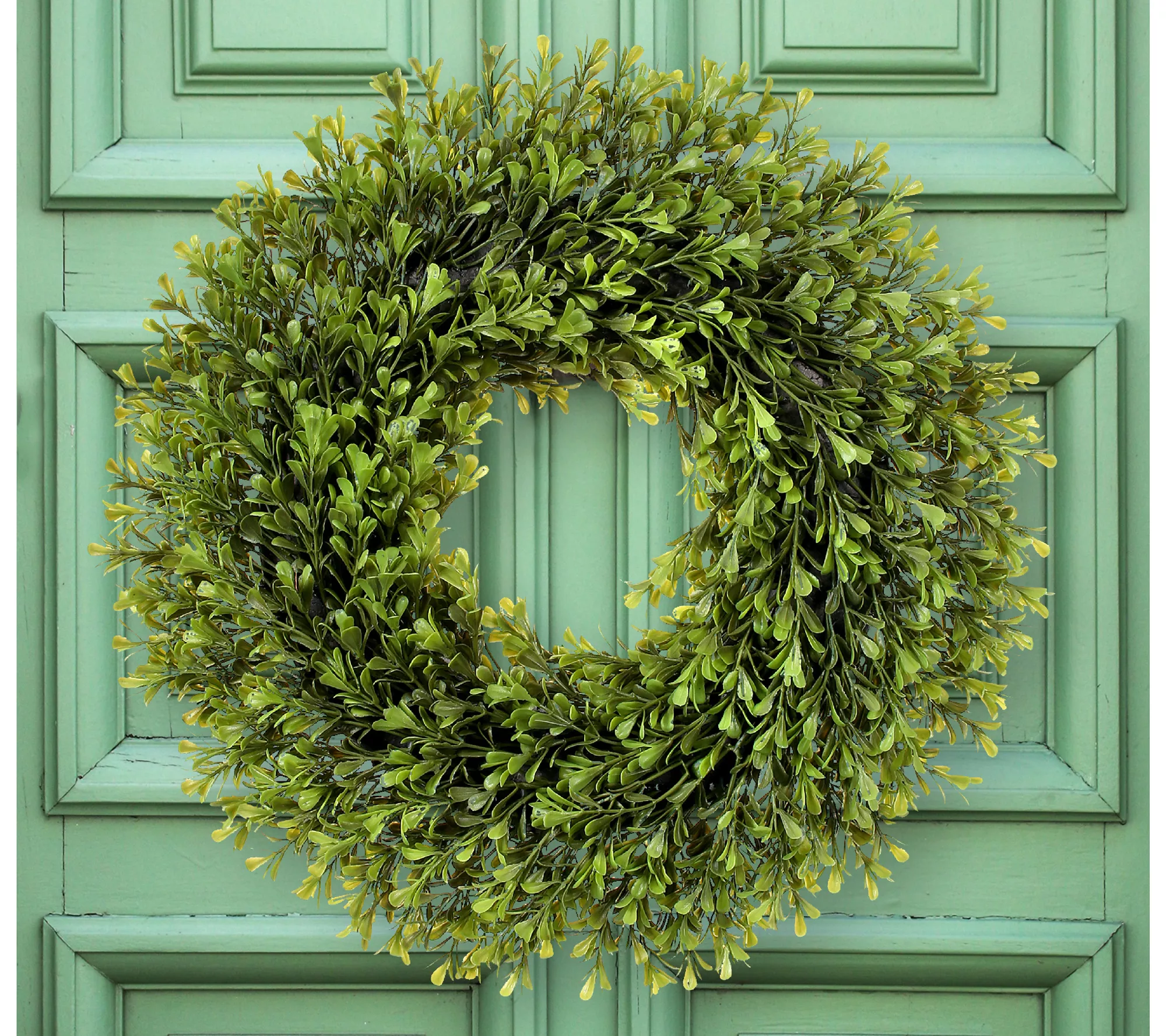 16" Plastic Spring Boxwood Wreath by Valerie